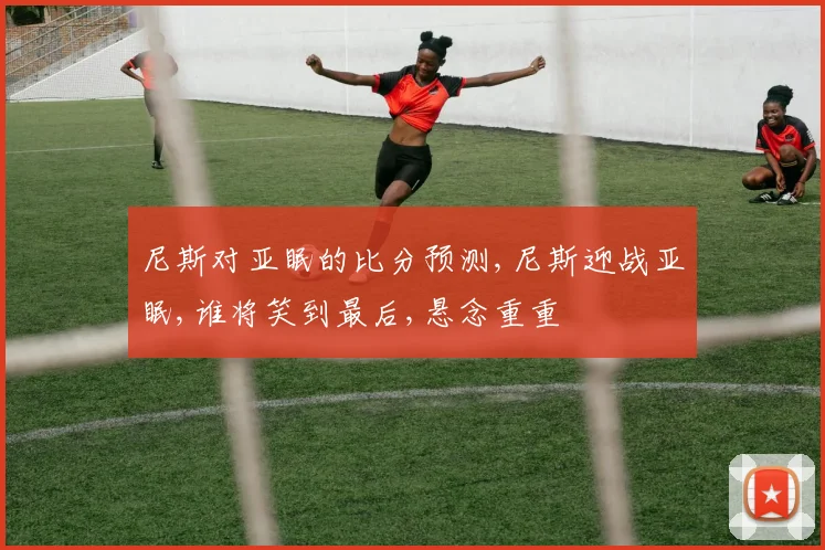 尼斯对亚眠的比分预测,尼斯迎战亚眠,谁将笑到最后,悬念重重
