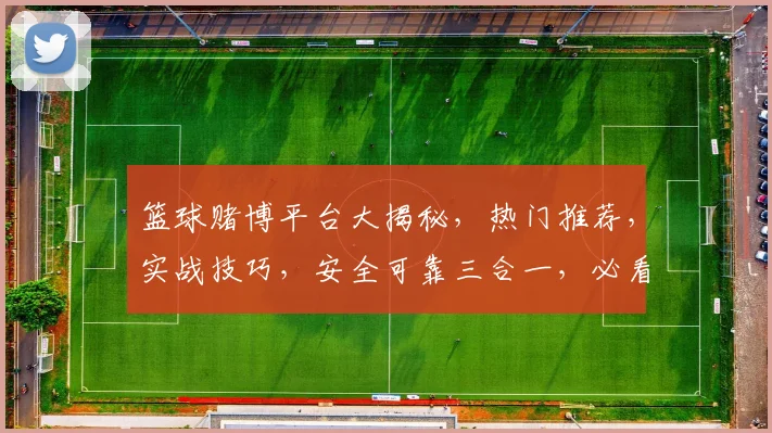 篮球赌博平台大揭秘，热门推荐，实战技巧，安全可靠三合一，必看